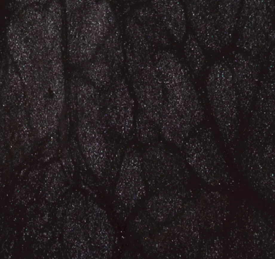 Content Image Frame 1