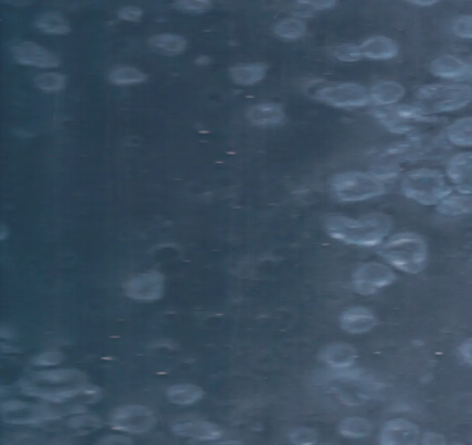 Content Image Frame 2