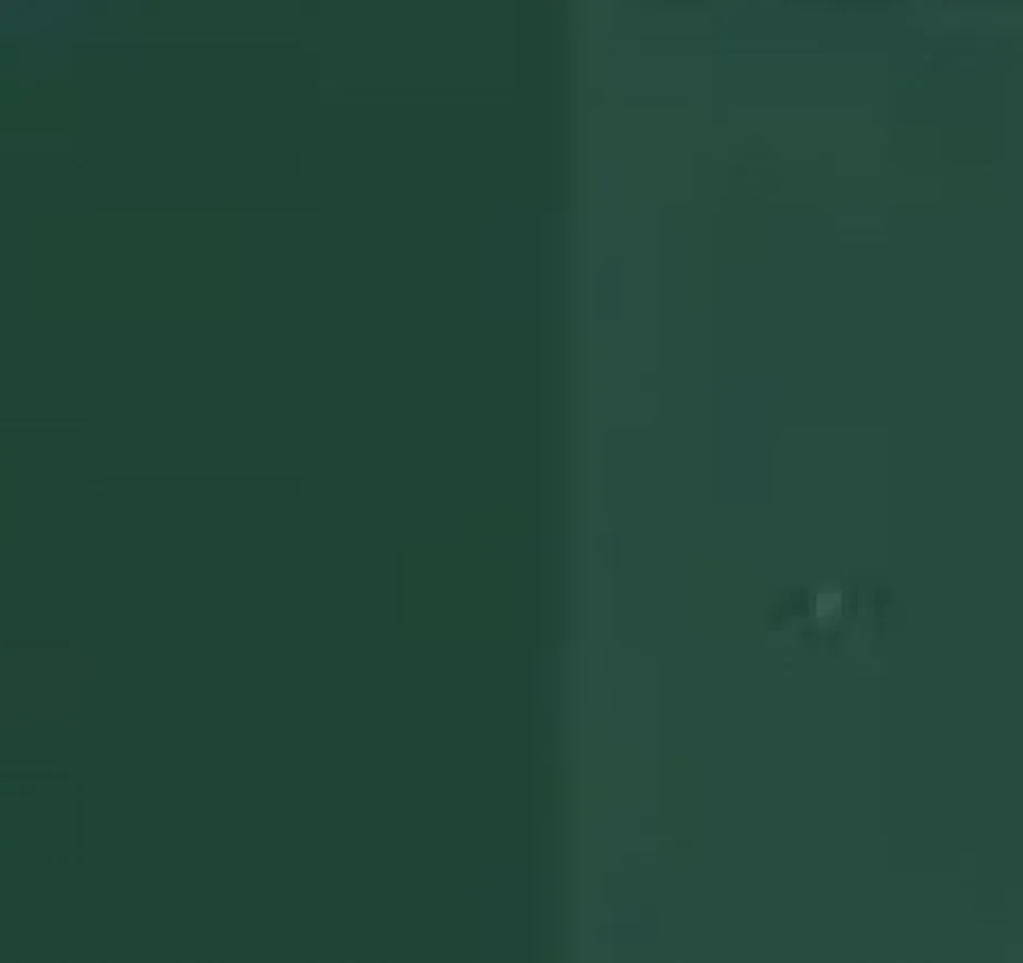 Content Image Frame 4